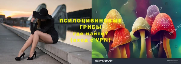 первитин Балахна