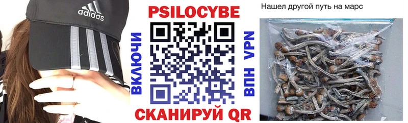 Псилоцибиновые грибы прущие грибы  Бологое 